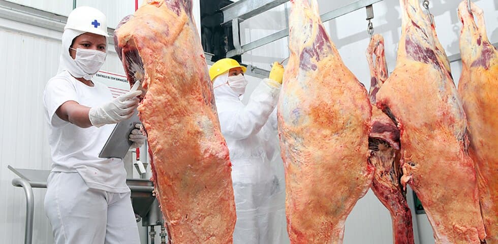Câmara fria com carcaças penduradas e equipe de inspeção de uniforme branco.