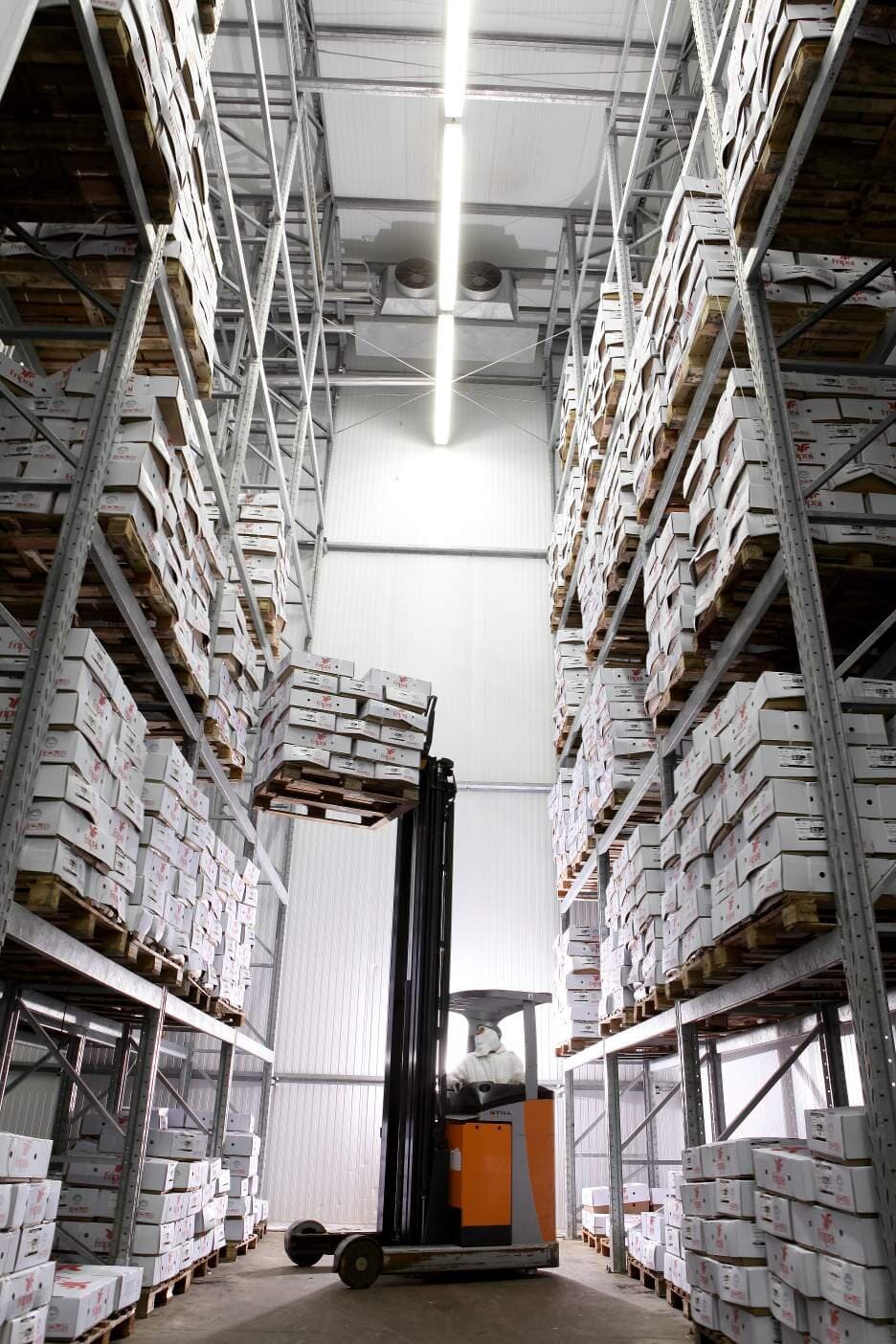 Câmara de estocagem com caixas empilhadas em porta-paletes e empilhadeira.