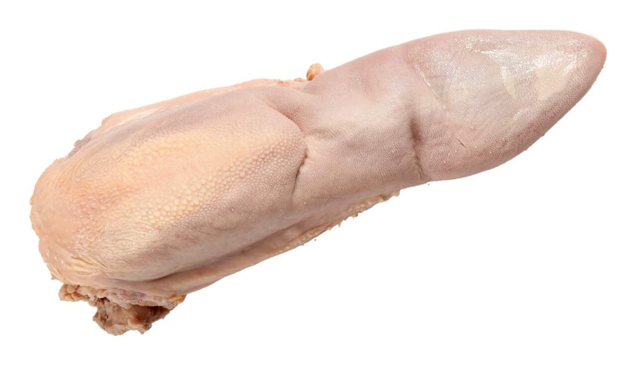 Língua