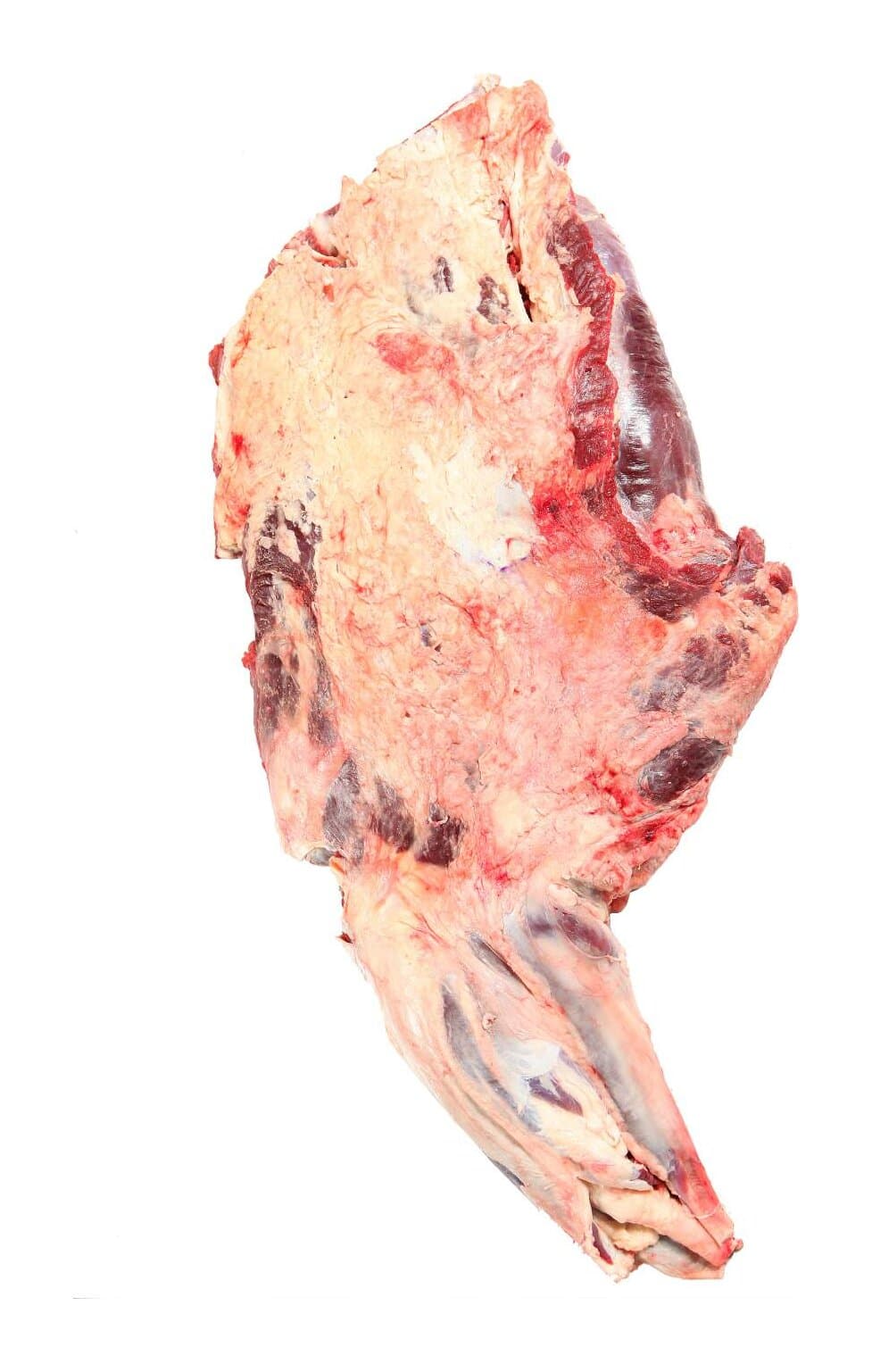 Paleta com músculo
